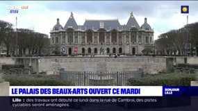 Fortes chaleurs à Lille: le palais des Beaux-Arts ouvert ce mardi