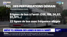 Grève TCL ce jeudi : des lignes de bus à l'arrêt