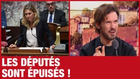 Demanche pirate le 3216 - Si Borne utilise autant le 49-3, c'est pour le bien de tous