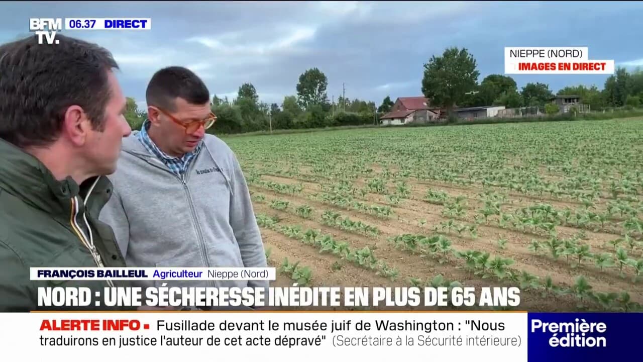 Nord: les agriculteurs inquiets face à une sécheresse d’une ampleur inédite