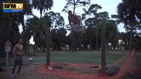 Impressionnante démonstration de street workout