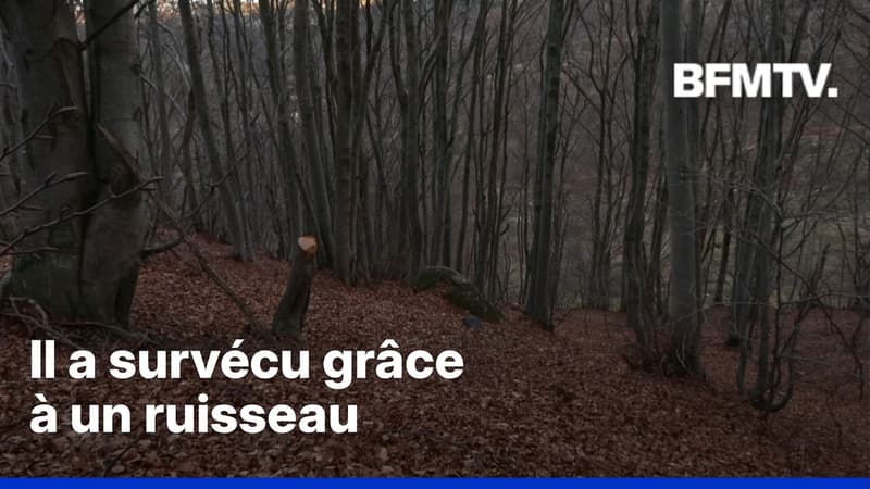 Un automobiliste retrouvé grièvement blessé au fond d'un ravin cinq jours après une sortie de route en Ardèche