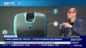 Culture Geek : Litière connectée, Petflix... la tech au service des animaux, par Anthony Morel - 09/06
