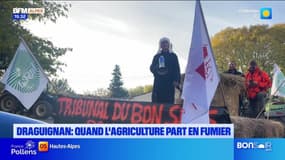 JT du Sud du mercredi 27 novembre