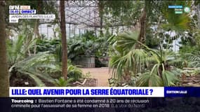 Lille: quel avenir pour la serre équatoriale ? 