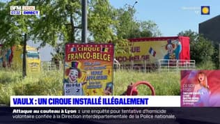 Vaulx-en-Velin: un cirque d'animaux sauvages installé illégalement dans la commune