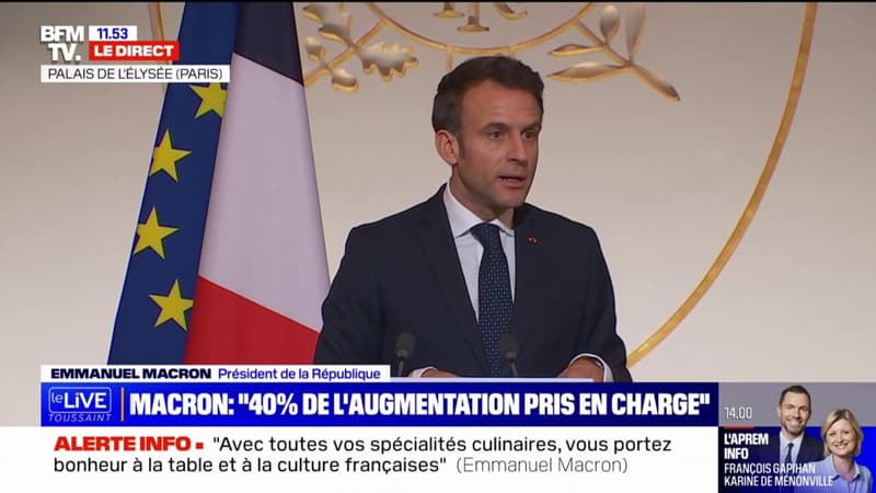 Emmanuel Macron: « Beaucoup de nos artisans ont autre chose à faire que d’aller chercher sur Internet des tableaux incompréhensibles »