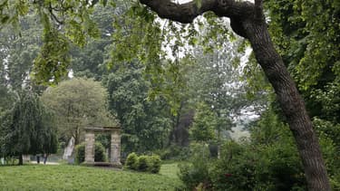 Toute sortie en forêt est également fortement déconseillée ce mercredi, des chutes d'arbres étant à craindre