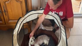 Michel Gobet avec sa chienne Wendy après l'attaque