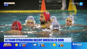 Coupe d'Europe water-polo: le Team Strasbourg accueille les Italiens de Brescia