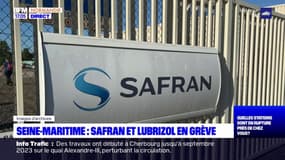 Seine-Maritime: Safran et Lubrizol en grève