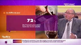 L’info éco/conso du jour d’Emmanuel Lechypre : Sept Français sur dix tentés par le vin en canette - 14/02