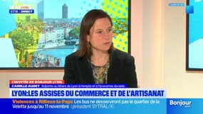 Lyon: les assises du commerce et de l'artisanat