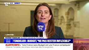 Budget: "Le préalable non négociable, c'est l'abrogation de la réforme des retraites", affirme Marine Tondelier (les Écologistes)