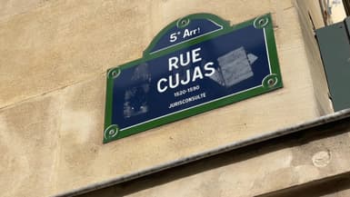 La bibliothèque Cujas à Paris rouvrira ce jeudi après désinfection des punaises de lit