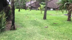 Cyclone Berguitta : les dégâts constatés à Flic en Flac (île Maurice) - Témoins BFMTV