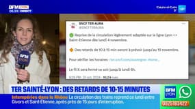 Intempéries dans le Rhône: la circulation des trains reprend ce lundi entre Givors et Saint-Étienne