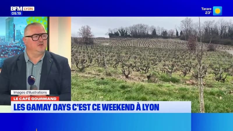 Le Café gourmand: les Gamay days, c'est ce week-end à Lyon