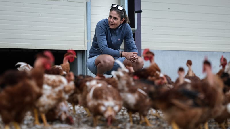 "Il est où le chef?", "princesse tracteur", "j'étais la femme de Jacques"... Ces agricultrices bataillent pour se faire une place malgré l'invisibilisation de leur travail