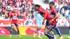 J. David & R. Cabella