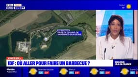 Ile-de-France: où aller pour faire un barbecue?