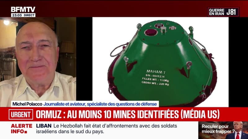 Ormuz: au moins 10 mines identifiées dans le détroit (médias us)