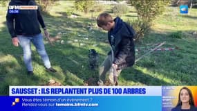 Sausset : ils replantent plus de 100 arbres