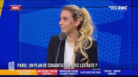 Cohabitation entre les voitures et les vélos: "Le problème en France, c'est le manque d'éducation"