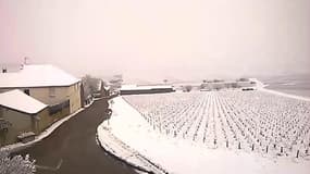 À Courgis, dans l'Yonne, la neige est tombée en abondance - Témoins BFMTV