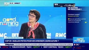 L'alimentation et l'agriculture au coeur de la COP28