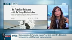 "Instable", "imprévisible": l'incroyable tribune de "résistance" contre Trump à la Maison Blanche