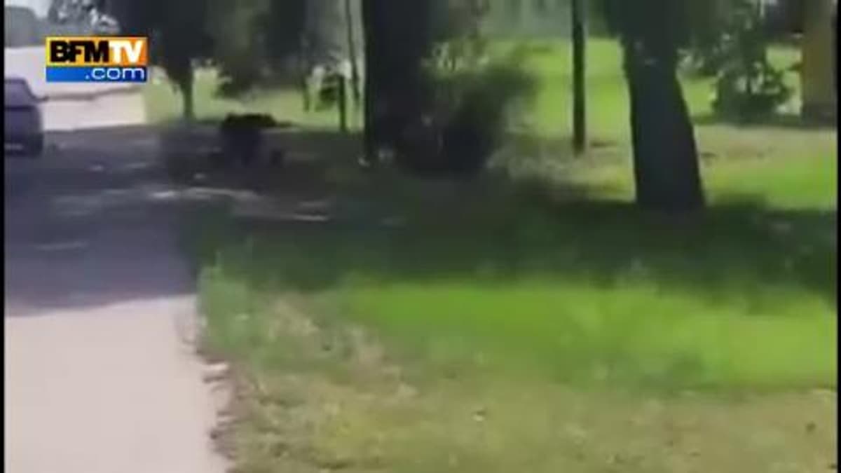placeholder video