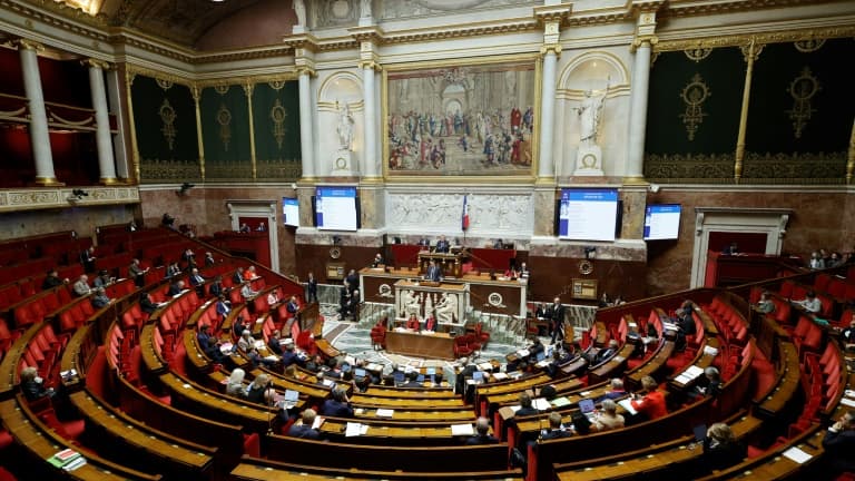 L'Assemblée nationale (image d'illustration)