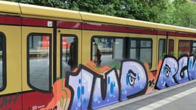 Les graffeurs auraient crié "attentat" dans le train et semé la panique. 