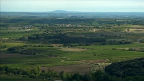 Le plateau de Pézenas