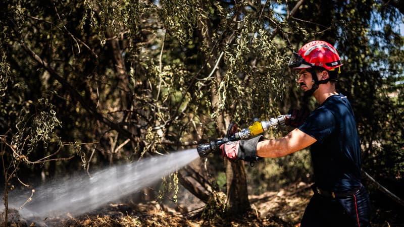 DIRECT. Incendies: la situation "s'améliore d'heure en heure" dans les Pyrénées-Orientales