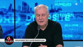 Affaire Fillon : "Nicolas Sarkozy doit être dans un état de plaisir intense" 