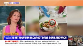 "Dégouté": un jeune footballeur retrouve un escargot dans son wrap au McDo