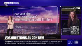 VOS QUESTIONS - Que veut dire "recel de cadavre" dans l'affaire du petit Émile ?