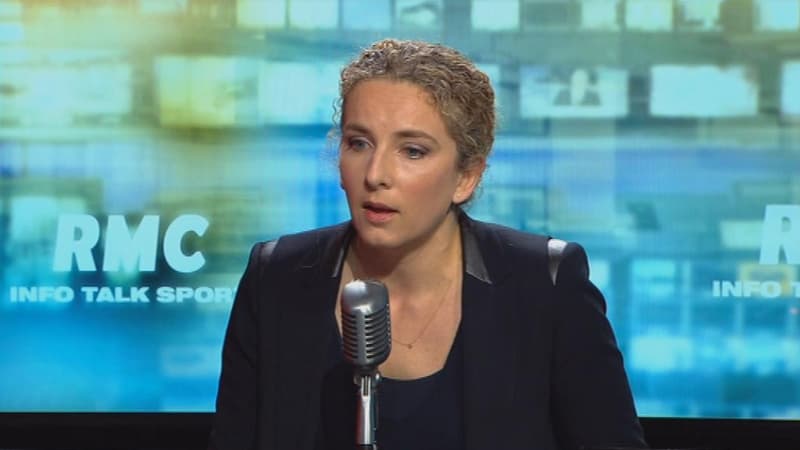 Delphine Batho, ancienne ministre de l'Environnement