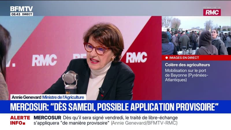 Annie Genevard détaille le principe des "brigades" chargées du contrôle des produits importés