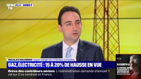 Nicolas Goldberg: "Il faut pouvoir aider les plus modestes en renforçant le chèque énergie"