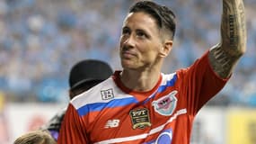 Fernando Torres