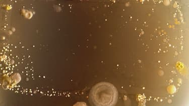 Si vous scrutez votre smartphone au microscope, voici ce que vous pourriez découvrir.