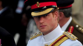 Le Prince Harry en Turquie lors  d'une commémoration. 