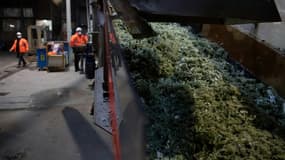 Plastiques broyés en flocons à l'usine Suez d'Orée-d'Anjou, le 26 mars 2021