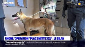 "Place nette XXL": le bilan de l'opération dans le Rhône