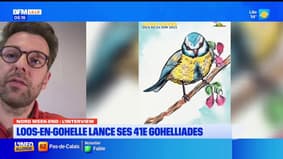 Loos-en-Gohelle: retour des Gohelliades pour une 41e édition sur le thème des oiseaux