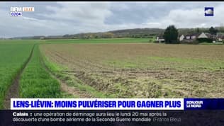 Pas-de-Calais: une aide financière pour encourager à déverser moins de produits phytosanitaires
