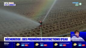 Sécheresse : des premières restrictions d'eau